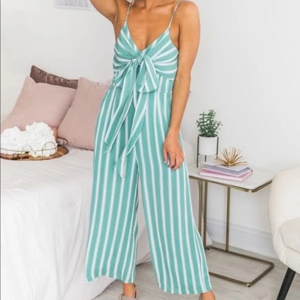 Pink Lily Striped Mint Jumpsuit